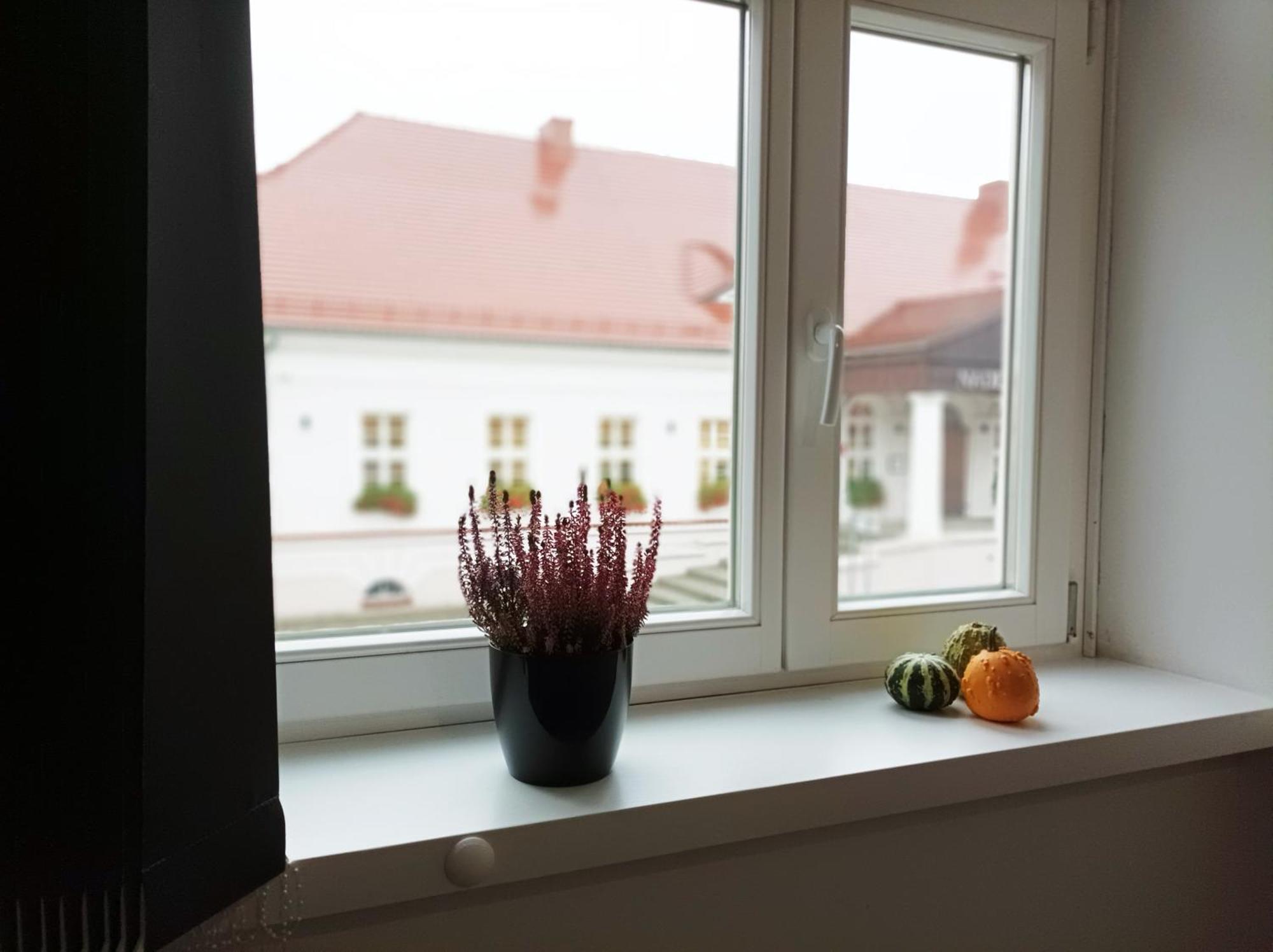 Pokoje Pod Palacem Koszecin Exterior foto